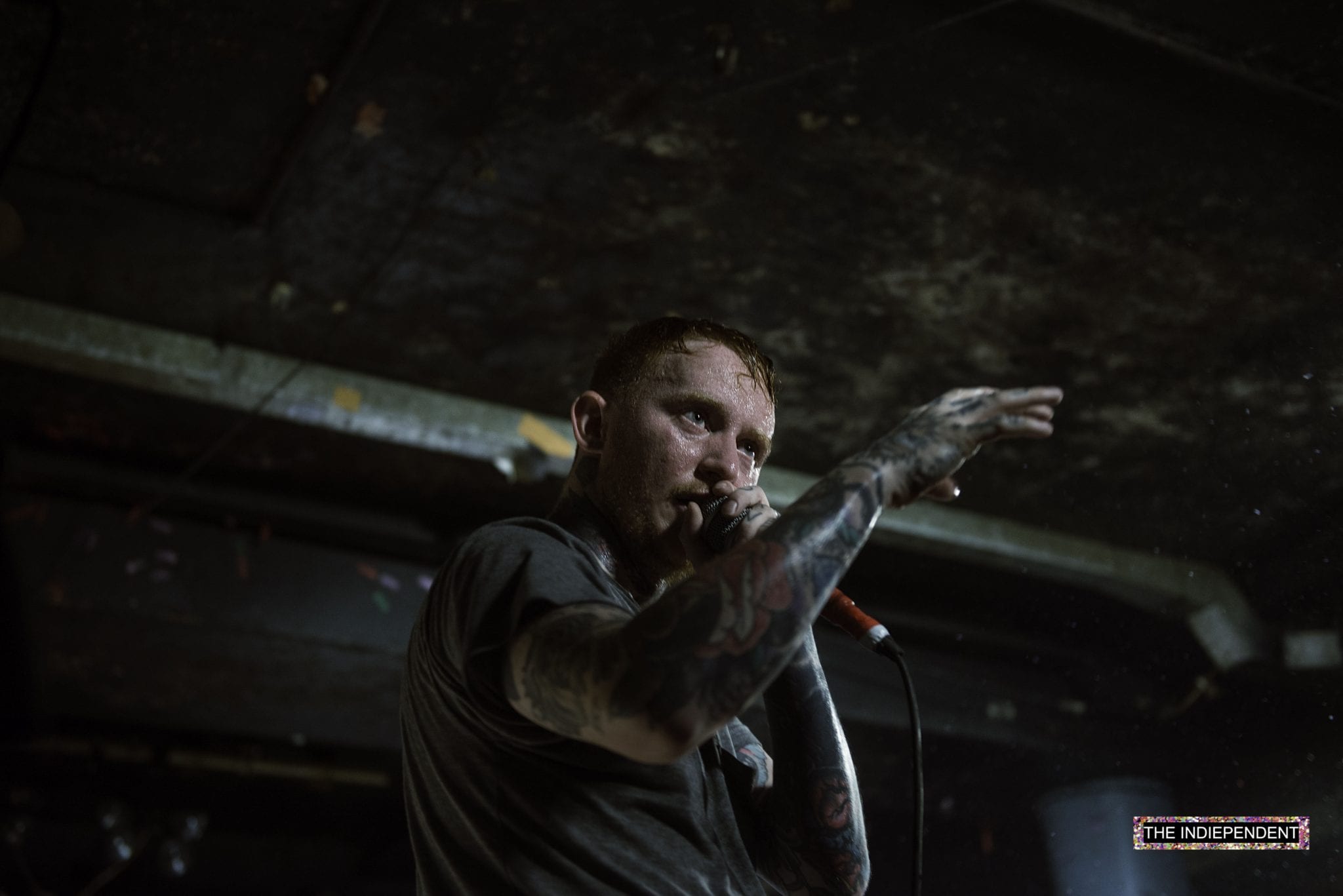 Gallery: Frank Carter & The Rattle Snakes