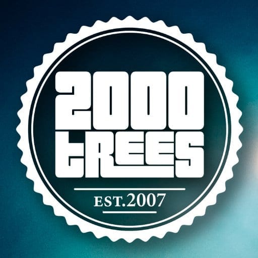 2000trees confirm a number of extra special performances for their Forest Sessions