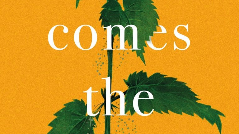 Book Review: Here Comes the Miracle // Anna Beecher