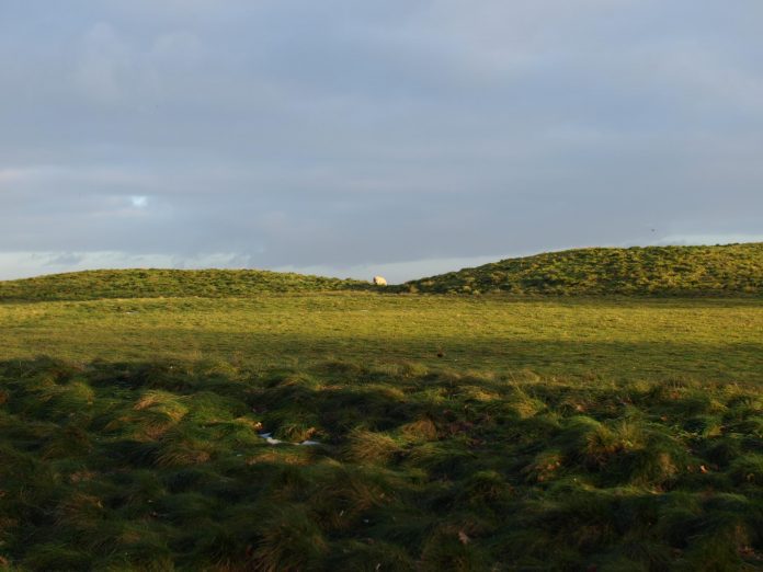 sutton hoo